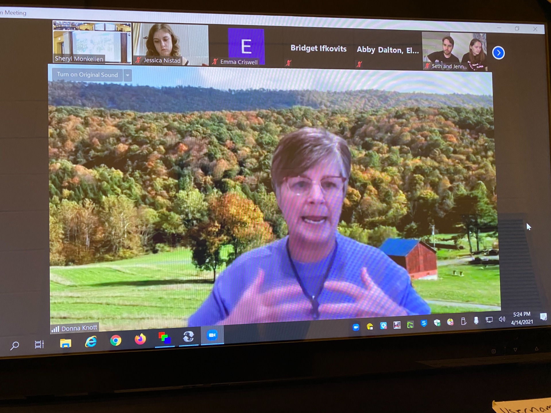 Great Zoom presentation with Donna Knott- Spring 2021